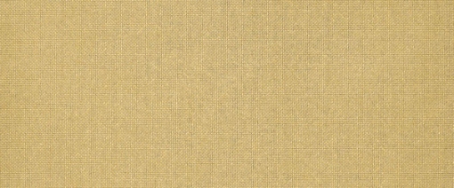 FORMICA-M 5309 HPL Plex Gold 3050x1220x1 METALLIC