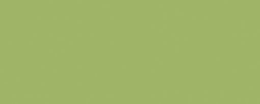 FORMICA-F 8820 C2 Leaf Green 3660x1525x10 MAT