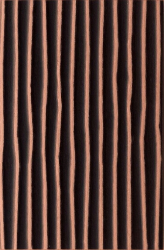 Obrázek DEKODUR C402/PTG 2440x1220x1 mm