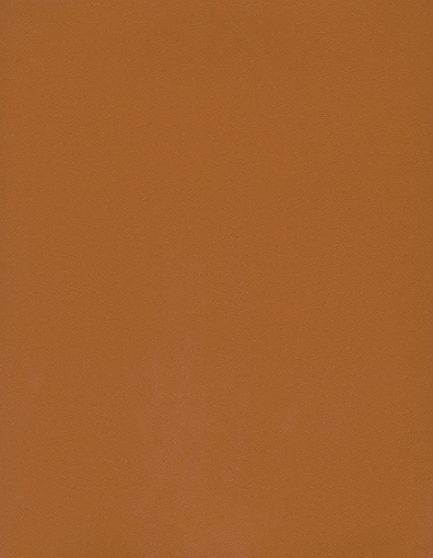 Obrázek DEKODUR L501/LTH 2440x1220x0.9mm