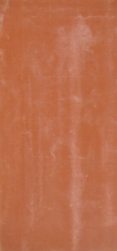 Obrázek CTD VIROC  2600 x 1250 x 12 mm red
