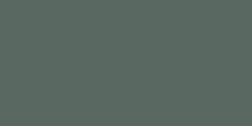 Obrázek FENIX 0750 NTM 4200x1600x0.9 mm VERDE COMODORO