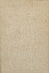 Obrázek VIROC Šedá 1x pískovaná 3000x1250x26 mm