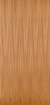 Obrázek Eucalyptus 3050 x 1270 x 1mm Matte