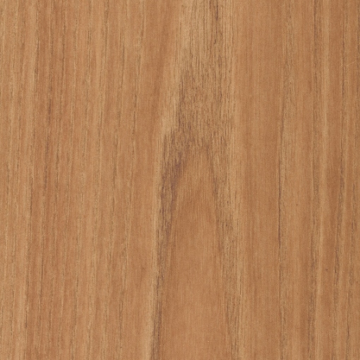 Obrázek American Elm 3050 x 1270 x 1mm Matte