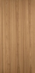 Obrázek American Elm 3050 x 1270 x 1mm Matte