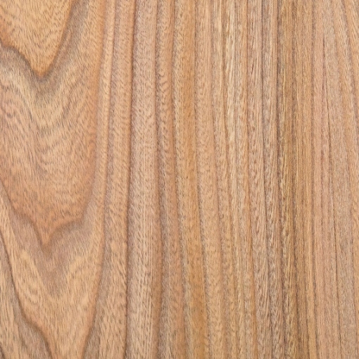 Obrázek American Elm T334 3050 x 1270 x 1mm Matte