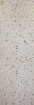 Obrázek Mur de Fleurs 2800 x 1020 x 0.4mm SuperOrganic