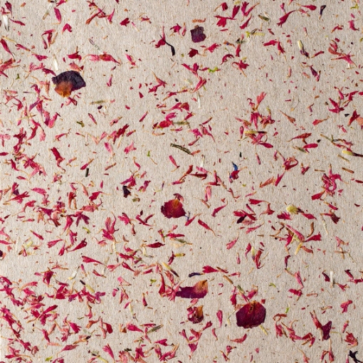 Obrázek Pétales & Tournesols 3070 x 1300 x 0.8mm SuperOrganic