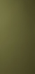 Obrázek Dark olive 017 3050 x 1270 x 0.9 mm Net