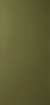 Obrázek Dark olive 017 3050 x 1270 x 0.9 mm Sticks