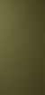 Obrázek Dark olive 017 3050 x 1270 x 0.9 mm Tabs
