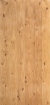 Obrázek Origin 2500 x 1220 x 0.6 mm Pippy Oak