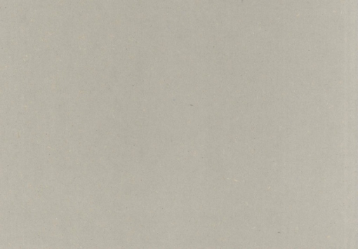Obrázek MDF probarvená Valchromat 3660 x 1220 x 19 mm White Grey 