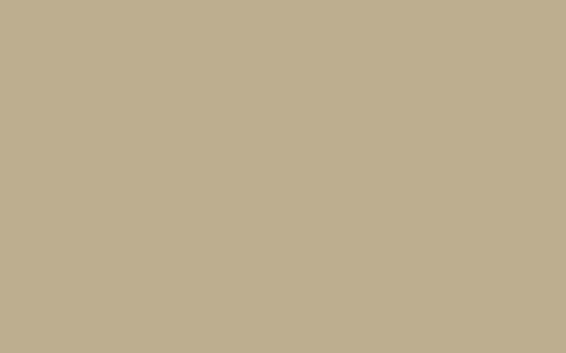 Obrázek ASD 1095 Almond Butter 3050 x 1300 x 8 mm