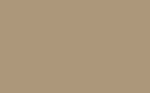 Obrázek ASD 1096 Walnut Butter 3050 x 1300 x 8 mm