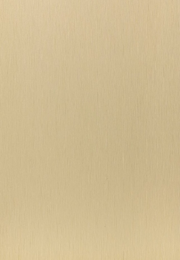 Obrázek  DEKODUR  3050 x 1220 x 0,8 mm A451 HSM