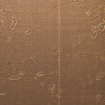 Obrázek Homapal 500/502 Brass Moon 2440 x 1220 mm x 1.3 mm
