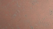 Obrázek Homapal 635/502 Copper Moon Turquoise 2440 x 1220 mm x 1.3 mm