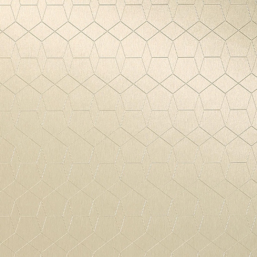 Obrázek Homapal 325/360 Alu Brushed Champagnertone 3050 x 1220 mm x 1 mm