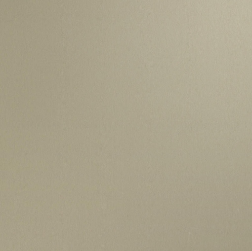 Obrázek Homapal 325 SRM Alu Brushed Champagne SRM 3050 x 1220 mm x 1 mm