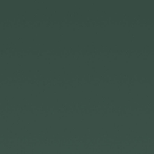 Obrázek Homapal 8211 Magnetic Board Green Matt / Chalk 2440 x 1220 mm x 1 mm