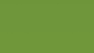 Obrázek Homapal 8232 Magnetic Apple Green Glossy / Board Marker 3050 x 1220 mm x 1 mm