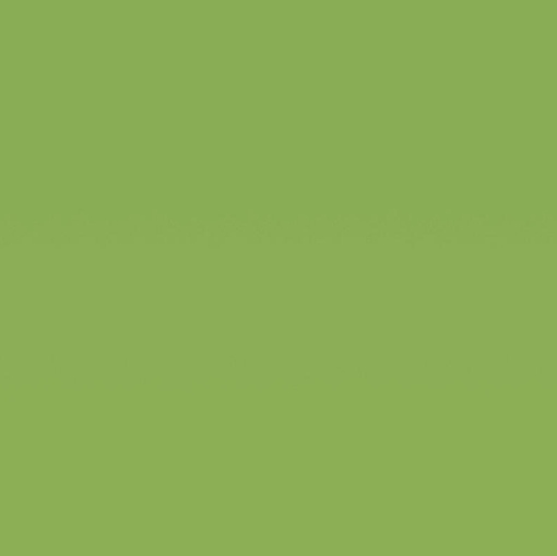 Obrázek Homapal 8259 Magnetic Board Apple Green Matt / Chalk 3050 x 1220 mm x 1 mm