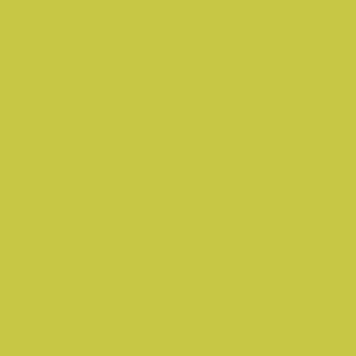 Obrázek Pfleiderer U19509 SD Olive 4100 x 1300 x 0.8 mm