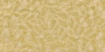Obrázek Skelettblätter 1360 x 100 mm x 0.3 mm - eko zlatý papír