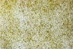 Obrázek Moos Hellgrün medium 1360 x 100 mm x 0.5 mm - samolepící průsvitný