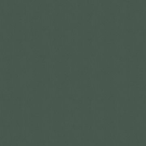 Obrázek Pfleiderer F76186 SE/SH alux tmavě zelený 4100 x 1300 x 0.8 mm