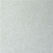 Obrázek Smile Plastics Earth - Grey mist  3000x1200x12 mm 