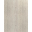 Obrázek ABS hrana Unilin 0H163 BST Flakewood white 23x1mm