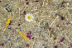 Obrázek Alpine meadow absorber panel 2760x1300x19mm