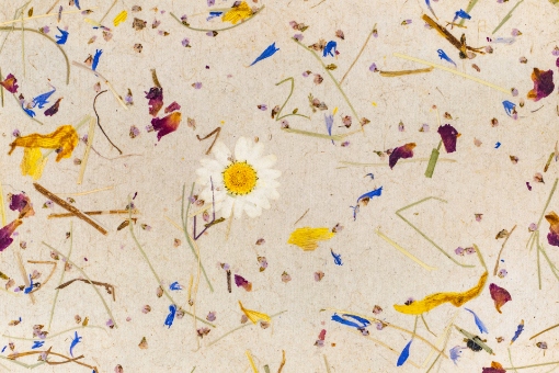 Obrázek Alpine meadow light ceiling panel 2000x1000x70mm 