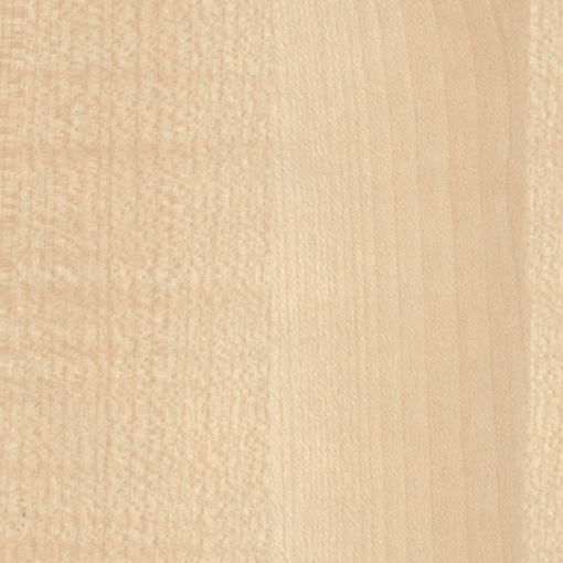 Obrázek FORMICA F3855 Clear Maple Kompakt