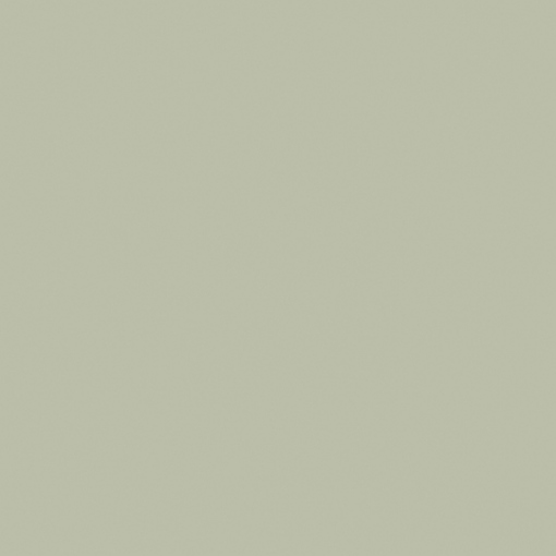 Obrázek FORMICA F5344 Seed HPL